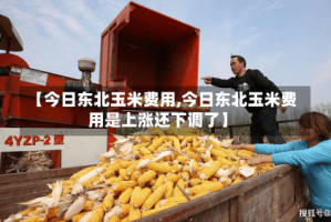 【今日东北玉米费用,今日东北玉米费用是上涨还下调了】