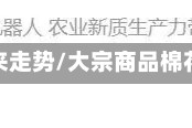 大宗商品棉花未来走势/大宗商品棉花未来走势如何