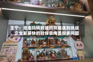 王宁：泡泡玛特的组织可能遇到挑战，企业发展快的时候会掩盖很多问题