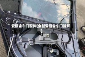 爱丽舍车门配件(全新爱丽舍车门拆解)