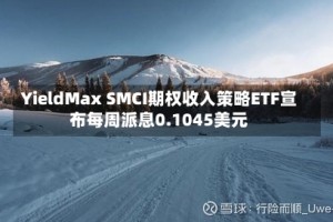YieldMax SMCI期权收入策略ETF宣布每周派息0.1045美元