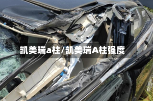 凯美瑞a柱/凯美瑞A柱强度