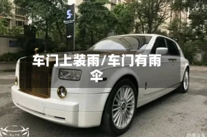 车门上装雨/车门有雨伞