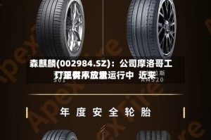 森麒麟(002984.SZ)：公司摩洛哥工厂正有序放量运行中  近来订单供不应求