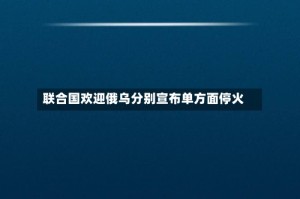 联合国欢迎俄乌分别宣布单方面停火