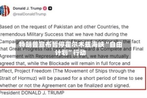特朗普宣布暂停霍尔木兹海峡“自由计划”行动