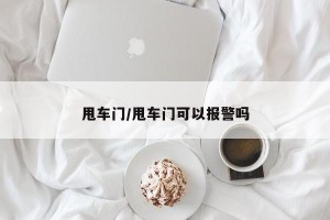 甩车门/甩车门可以报警吗