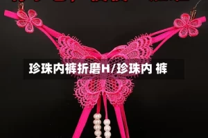 珍珠内裤折磨H/珍珠内 裤