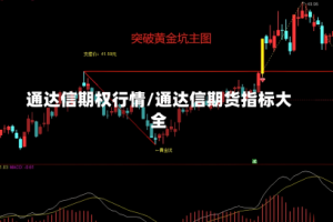 通达信期权行情/通达信期货指标大全