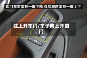 往上开车门/车子向上开的门