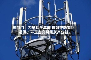 三部门：力争到今年底 有效铲除专利造假、不正当交易黑灰产业链