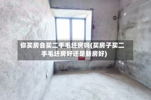 你买房会买二手毛坯房吗(买房子买二手毛坯房好还是新房好)