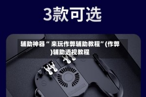 辅助神器“ 来玩作弊辅助教程”(作弊)辅助透视教程