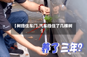 【树挡住车门,汽车挡住了几棵树】