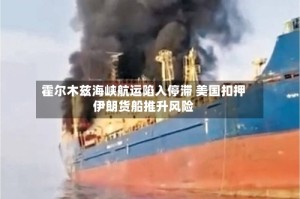 霍尔木兹海峡航运陷入停滞 美国扣押伊朗货船推升风险