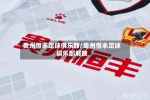 贵州恒丰足球俱乐部/贵州恒丰足球俱乐部解散