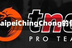 关于TaipeiChingChong的信息