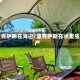 雷克萨斯在海边/雷克萨斯在水里生产