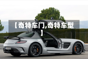 【奇特车门,奇特车型】