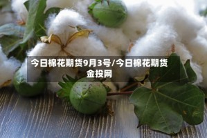 今日棉花期货9月3号/今日棉花期货金投网