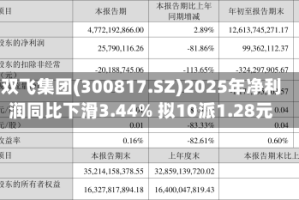 双飞集团(300817.SZ)2025年净利润同比下滑3.44% 拟10派1.28元