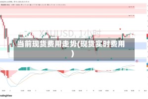 当前现货费用走势(现货实时费用)