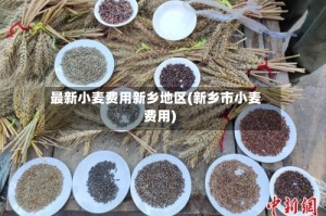 最新小麦费用新乡地区(新乡市小麦费用)