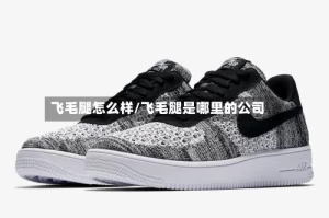 飞毛腿怎么样/飞毛腿是哪里的公司