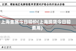 上海金属今日铅价(上海现货今日铅费用)