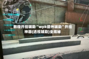 教程开挂辅助“wpk德州辅助”开挂神器{透视辅助}全揭秘