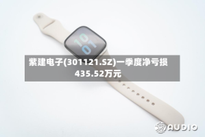 紫建电子(301121.SZ)一季度净亏损435.52万元