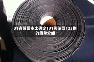 31省份增本土确诊131例陕西123例的简单介绍