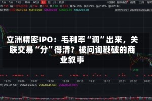 立洲精密IPO：毛利率“调”出来，关联交易“分”得清？被问询戳破的商业叙事