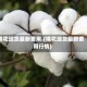 棉花现货最新费用.(棉花现货最新费用行情)