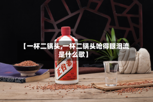 【一杯二锅头,一杯二锅头呛得眼泪流是什么歌】