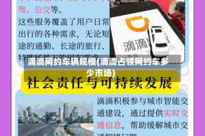 滴滴网约车辆规模(滴滴占领网约车多少市场)