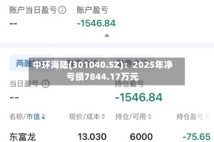 中环海陆(301040.SZ)：2025年净亏损7844.17万元