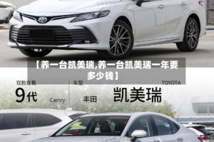【养一台凯美瑞,养一台凯美瑞一年要多少钱】