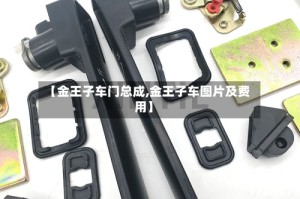 【金王子车门总成,金王子车图片及费用】