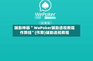 辅助神器“ WePoker辅助透视教程作弊挂”(作弊)辅助透视教程