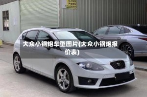 大众小钢炮车型图片(大众小钢炮报价表)
