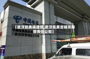 【武汉凯美瑞建筑,武汉凯美吉娱乐有限责任公司】
