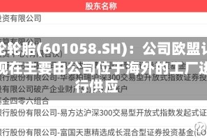 赛轮轮胎(601058.SH)：公司欧盟订单现在主要由公司位于海外的工厂进行供应