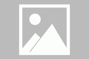 铝业股午前集体走高 南山铝业世界涨逾15%中国铝业涨逾7%