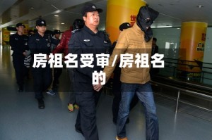 房祖名受审/房祖名的