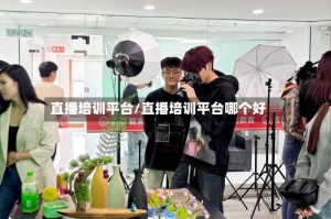 直播培训平台/直播培训平台哪个好