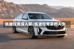 凯迪拉克没人买/凯迪拉克买的人少