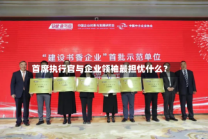 首席执行官与企业领袖最担忧什么？