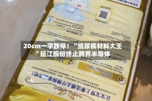 20cm一字跌停！“纸尿裤材料大王”延江股份终止跨界半导体