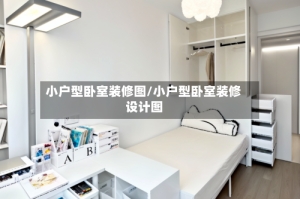 小户型卧室装修图/小户型卧室装修设计图